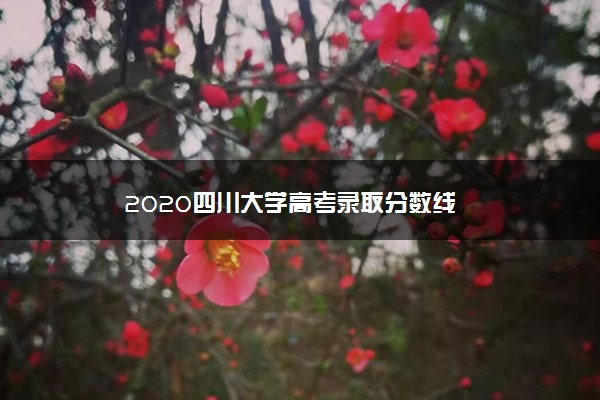 2020四川大学高考录取分数线