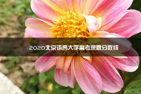 2020北京语言大学高考录取分数线