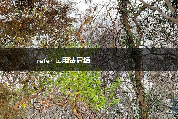 refer to用法总结