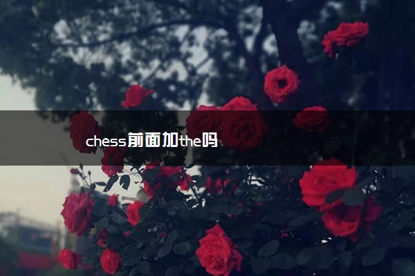 chess前面加the吗