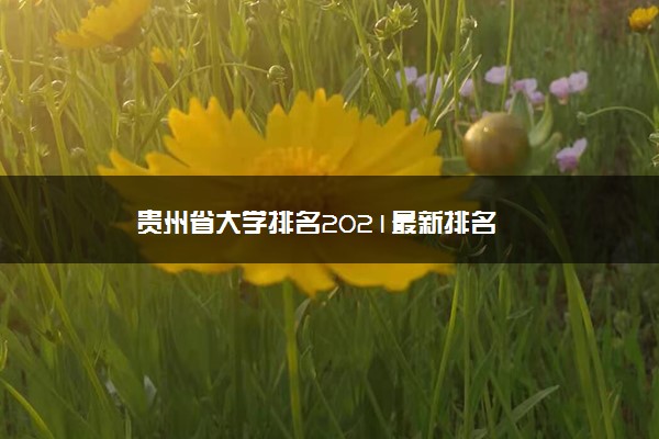 贵州省大学排名2021最新排名