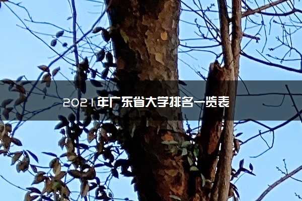 2021年广东省大学排名一览表