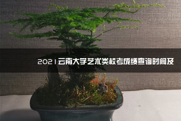 2021云南大学艺术类校考成绩查询时间及入口