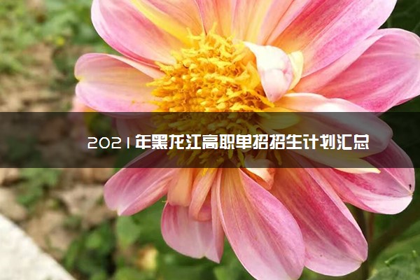 2021年黑龙江高职单招招生计划汇总