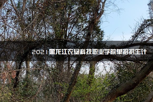 2021黑龙江农垦科技职业学院单招招生计划 哪些专业招生