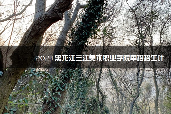 2021黑龙江三江美术职业学院单招招生计划 可以报哪些专业