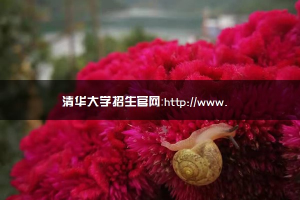 清华大学招生官网：http://www.join-tsinghua.edu.cn