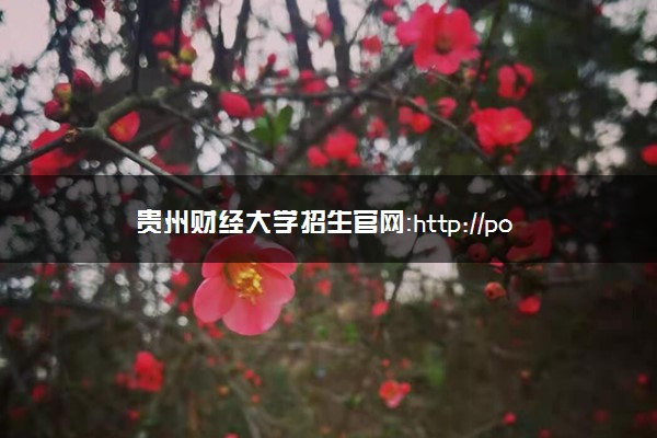 贵州财经大学招生官网：http://portal.gzife.edu.cn/web/zj_new/