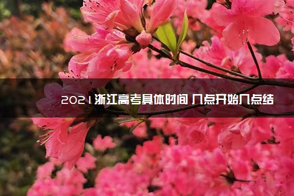 2021浙江高考具体时间 几点开始几点结束