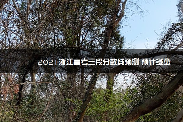 2021浙江高考三段分数线预测 预计多少分录取