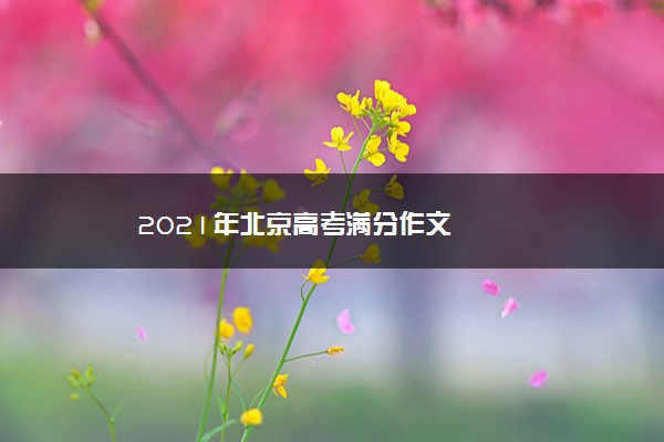 2021年北京高考满分作文