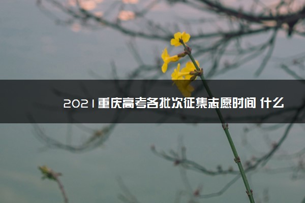 2021重庆高考各批次征集志愿时间 什么时候填报