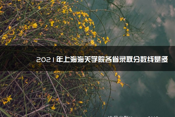 2021年上海海关学院各省录取分数线是多少