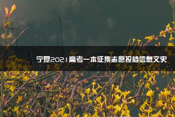 宁夏2021高考一本征集志愿投档信息文史类