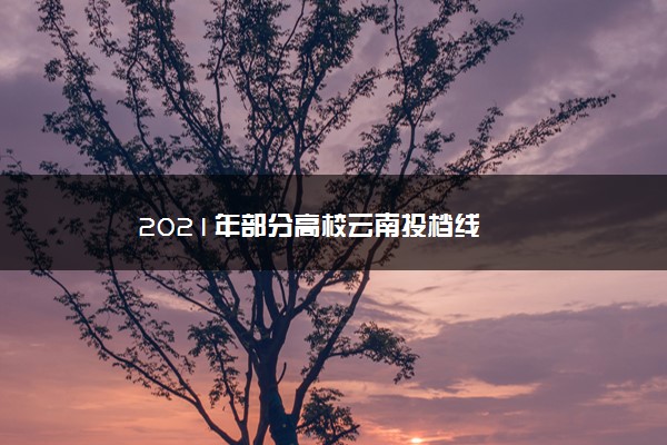 2021年部分高校云南投档线