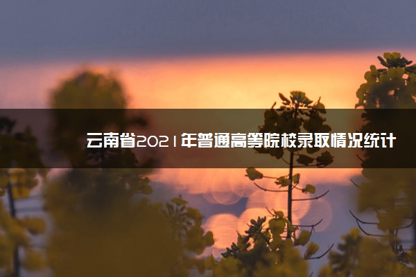 云南省2021年普通高等院校录取情况统计表（8月18日）