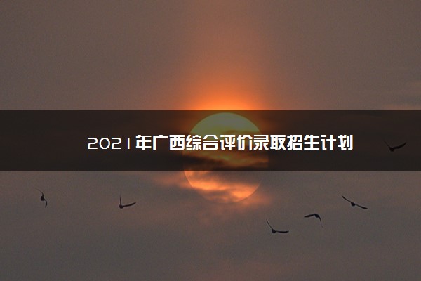 2021年广西综合评价录取招生计划