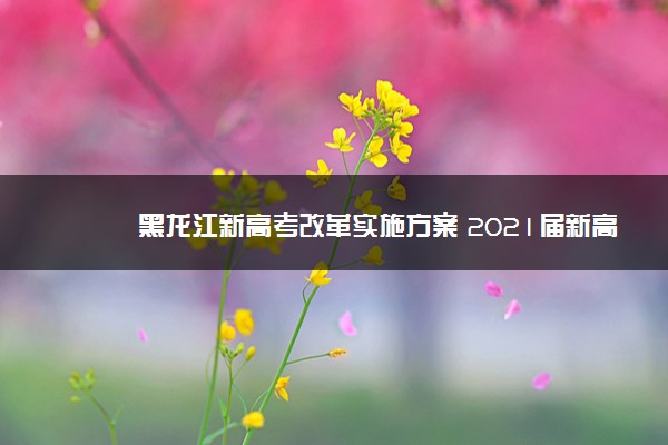黑龙江新高考改革实施方案 2021届新高一开始实行3+1+2