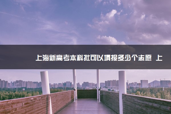 上海新高考本科批可以填报多少个志愿  上海高考的录取规则