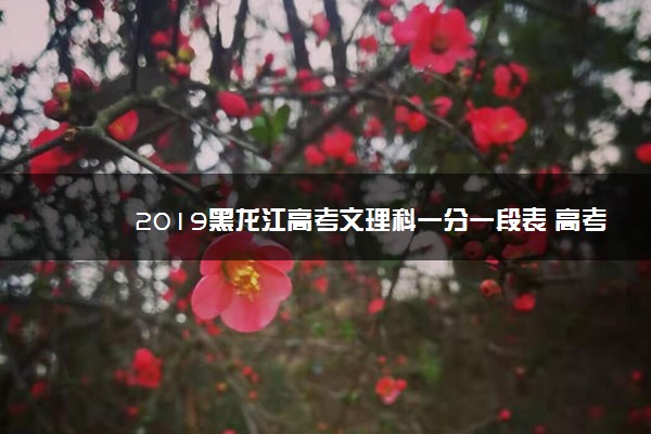 2019黑龙江高考文理科一分一段表 高考成绩排名汇总