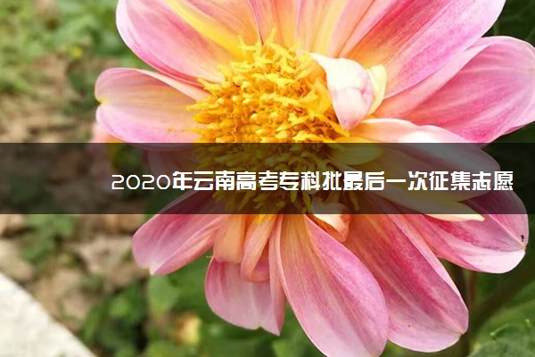 2020年云南高考专科批最后一次征集志愿招生计划及专业学费标准一览表