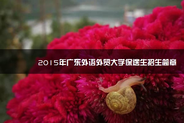 2015年广东外语外贸大学保送生招生简章