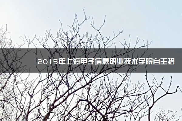 2015年上海电子信息职业技术学院自主招生简章