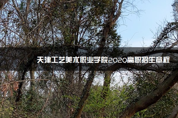 天津工艺美术职业学院2020高职招生章程