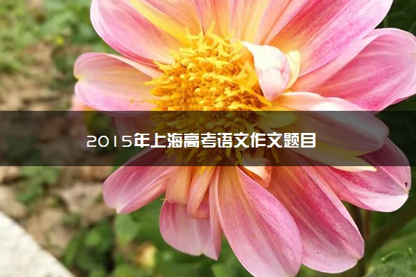 2015年上海高考语文作文题目