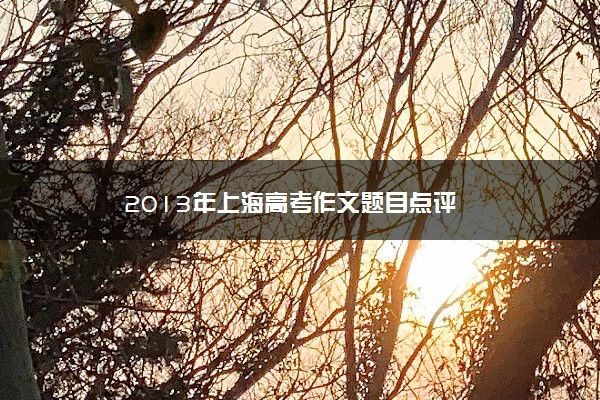 2013年上海高考作文题目点评