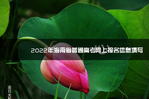 2022年海南省普通高考网上报名信息填写说明