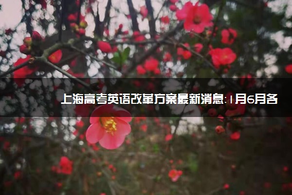 上海高考英语改革方案最新消息：1月6月各考一次