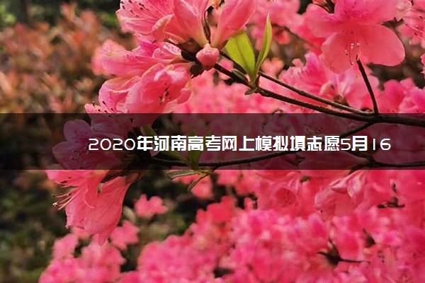 2020年河南高考网上模拟填志愿5月16日起