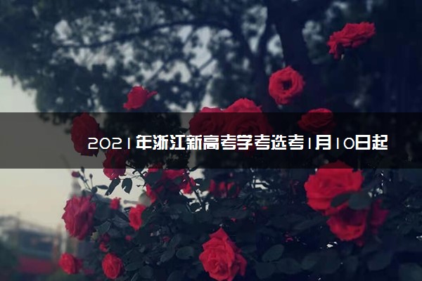 2021年浙江新高考学考选考1月10日起报名