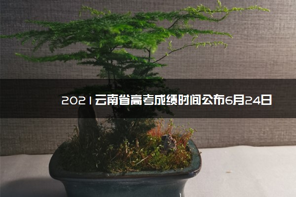 2021云南省高考成绩时间公布6月24日