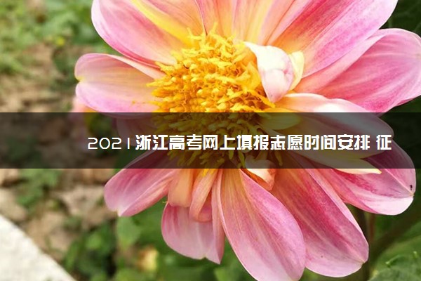 2021浙江高考网上填报志愿时间安排 征集志愿补录什么时候
