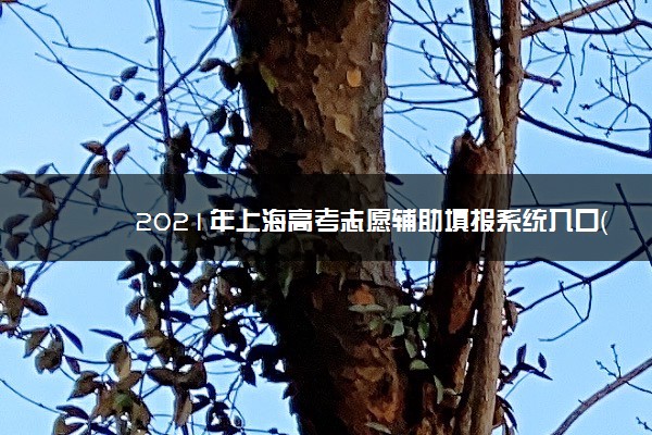 2021年上海高考志愿辅助填报系统入口（官网）http://fzzytb.shmeea.edu.cn/
