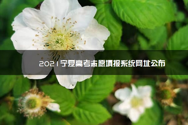 2021宁夏高考志愿填报系统网址公布