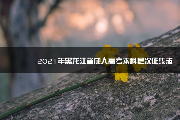 2021年黑龙江省成人高考本科层次征集志愿招生计划