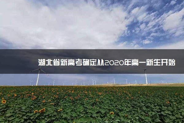 湖北省新高考确定从2020年高一新生开始实施