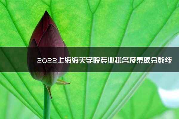 2022上海海关学院专业排名及录取分数线