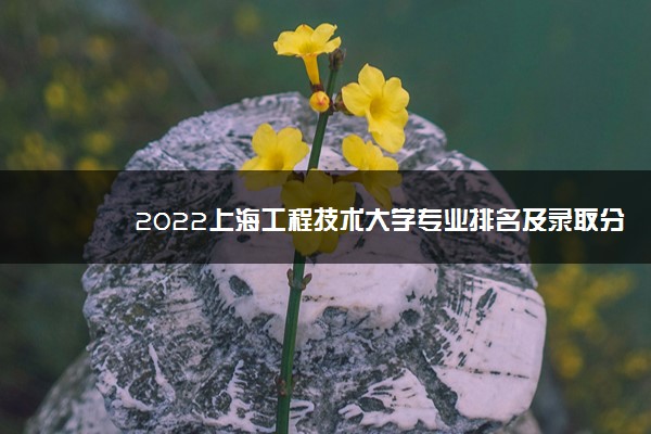2022上海工程技术大学专业排名及录取分数线