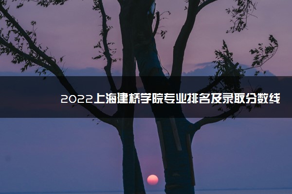 2022上海建桥学院专业排名及录取分数线