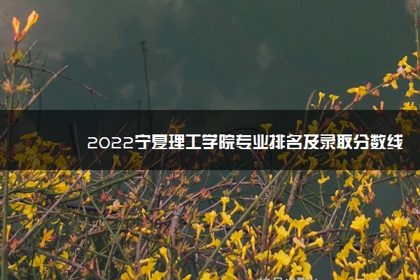 2022宁夏理工学院专业排名及录取分数线