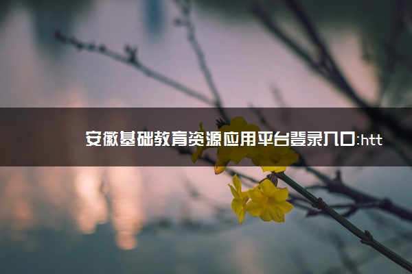 安徽基础教育资源应用平台登录入口：http://www.ahedu.cn/#/