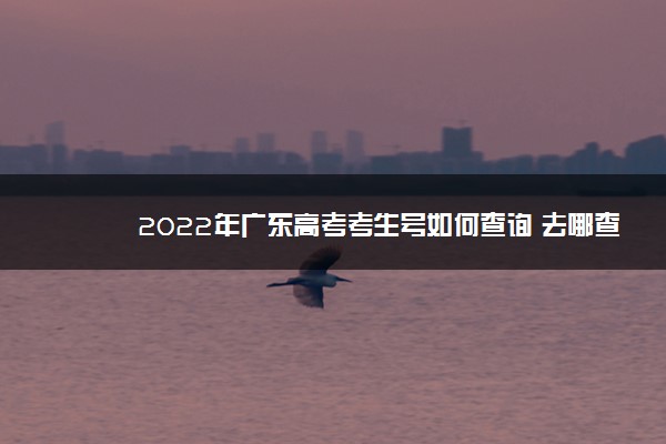 2022年广东高考考生号如何查询 去哪查询