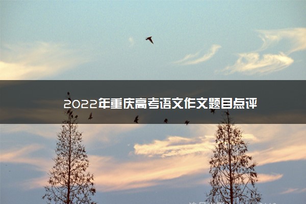 2022年重庆高考语文作文题目点评