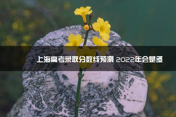 上海高考录取分数线预测 2022年会是多少