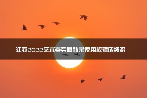江苏2022艺术类专科补录使用校考成绩招生计划（物理类）