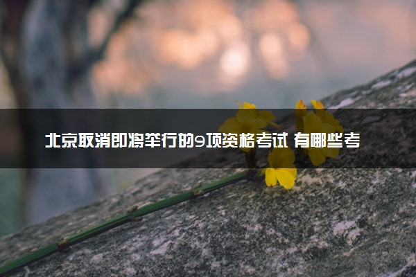 北京取消即将举行的9项资格考试 有哪些考试取消了